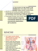 Sistemul Excretor