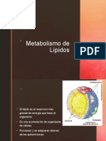 Metabolismo de Lípidos
