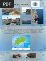 Reserva Natural das Berlengas_Ana Henriques_Natalina Gonçalves_Gabriela Moreira