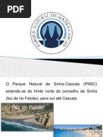 Parque Natural Sintra-Cascais Formandos Olivier Isusi e Vasco Rocha