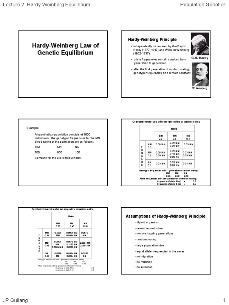 Hardy-Weinberg Equilibrium Overview | PDF | Dominance (Genetics) | Zygosity