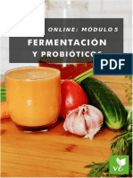 Modulo 5 Fermented PDF