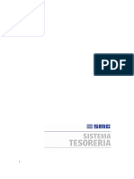 Tesoreria.pdf