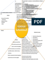 Eviencia de Lectura Endocrinologia