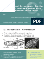 Characterization of Paramecium Morphology, Stimuli Responses