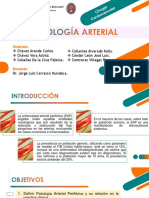 Patología Arterial Periferica 2019 Final