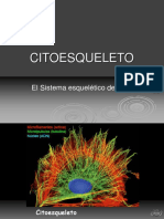 Citoesqueleto 20 PDF