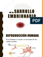 Desarrollo Embrionario Expo