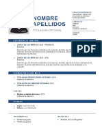 Plantilla Curriculum Vitae Cronologico - 202002