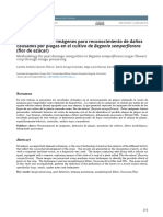 Procesamiento de Imágenes para Reconocimiento de Daños Causados Por Plagas en El Cultivo de Begonia Semperflorens (Flor de Azúcar)