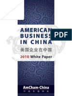AmCham-White Paper 2010