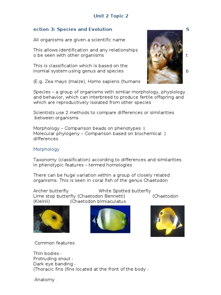 Species Classification and Evolution Insights | PDF | Eukaryotes ...