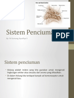 Sistem penciuman.pptx