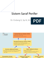 1.1 PPT Sistem Saraf Perifer