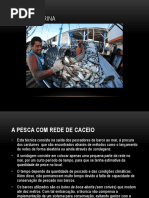 PESCA SANTA CATARINA