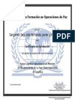 Apoyo Logistico Operativo Certificate PDF