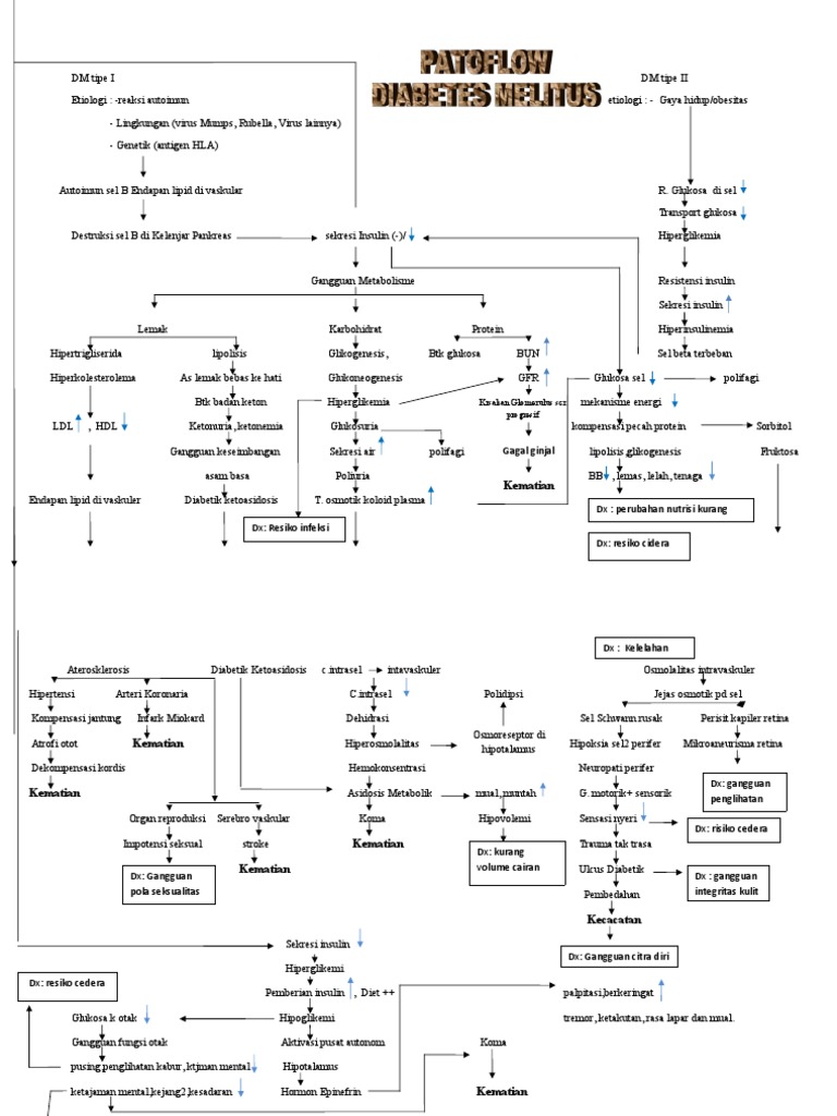 Pathway DM | PDF