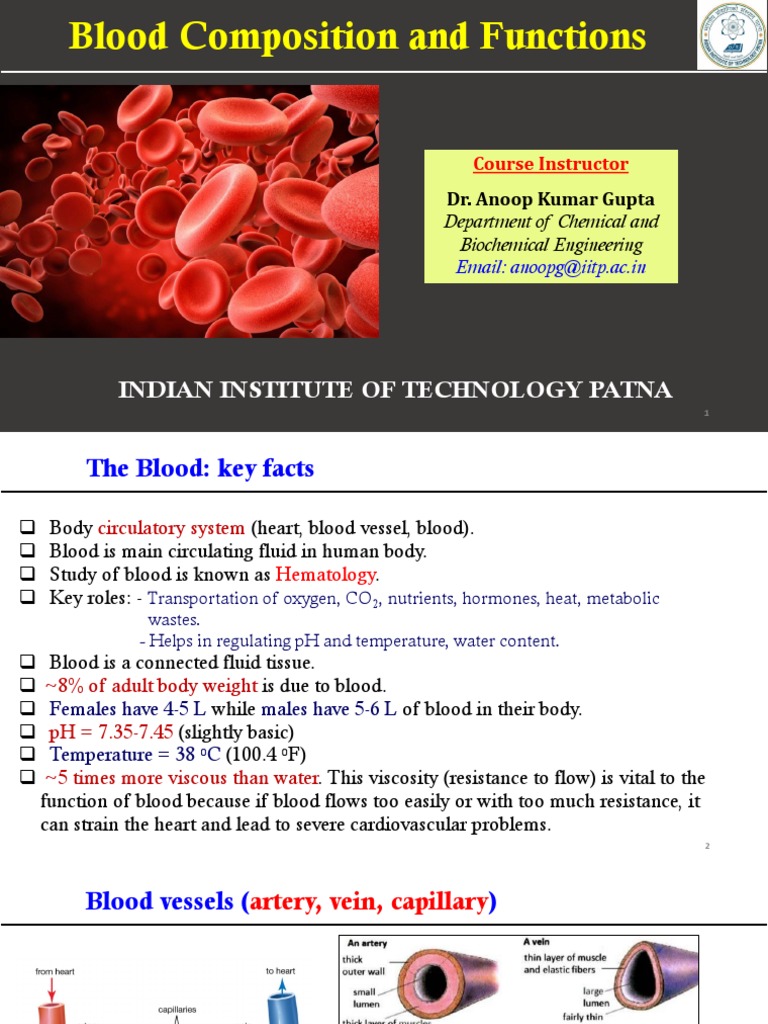 Blood Composition and Functions Overview | PDF | Blood Type | White ...