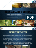 Drenaje Acido de Mina Mineria y Medio Ambiente