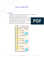 Lecture 8 - Lipids (Part 2)