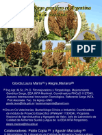 Sorgo3 PDF