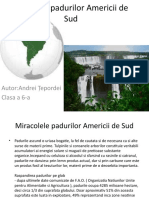 Miracolul Padurilor Americii de Sud