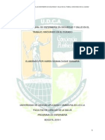 Rol Del Profesional de Enfermería UDCA Karen Duque PDF