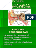 Indera Pendengaran & Keseimbangan