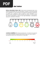 Escala Cpot | PDF