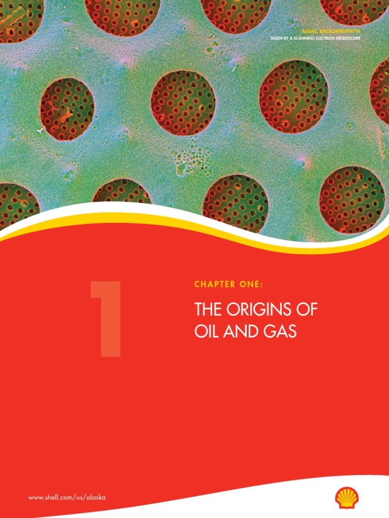 Shell Offshore 101 | PDF | Petroleum Reservoir | Petroleum