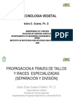 Tema 16. PROPAGACION A TRAVES DE TALLOS Y RAICES ESPECIALIZADAS 2020