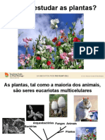 Estudar As Plantas