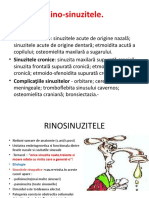 Rinosinuzite Curs 3