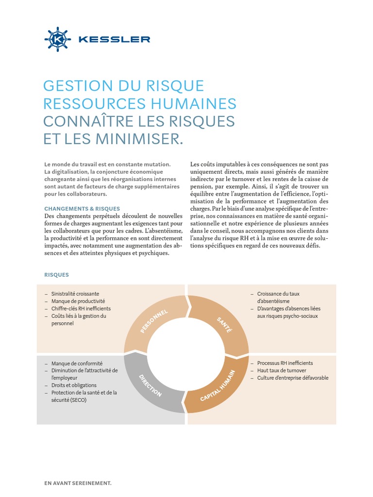 KS Factsheet HRRM FR PDF | PDF | Gestion des ressources humaines | Risque