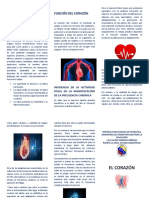 Triptico Del EL CORAZÓN Educacion Fisica