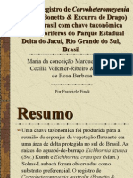 Primeiro registro de Corvoheteromeyenia australis (Bonetto & Ezcurra de Drago) para o Brasil com chave taxonômica para os poríferos do Parque Estadual Delta do Jacuí, Rio Grande do Sul, Brasil