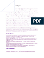 Higado Graso o Esteatosis Hepática