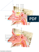 CamScanner Scans PDFs from Photos