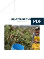 Manual Tecnico de Tuna