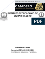 Instituto Tecnologico de Ciudad Madero: Recuperación Secundaria Y Mejorada