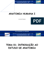 Aula01 101008120205 Phpapp01