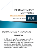 Dermatomas y miotomas: inervación cutánea y muscular