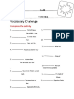 Vocabulary Challenge: Complete The Activity
