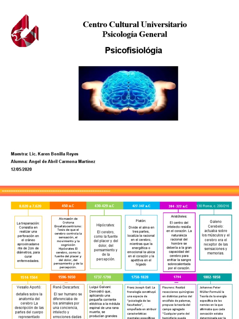 Linea Del Tiempo-Psicofisiologia | PDF | Cerebro | Órgano (anatomía)