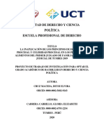 Proyecto de Investigaciòn Inaplicaciòn Priincipio Economia Celeridad.