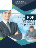 Instituto de La Cámara de Comercio Empresarial-Iccem PDF