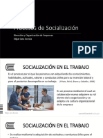 Socialización