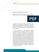 2.pdf