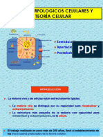 02-Tipos y Teoria Celular-2016