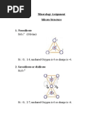 Silicate group and its types Assignment